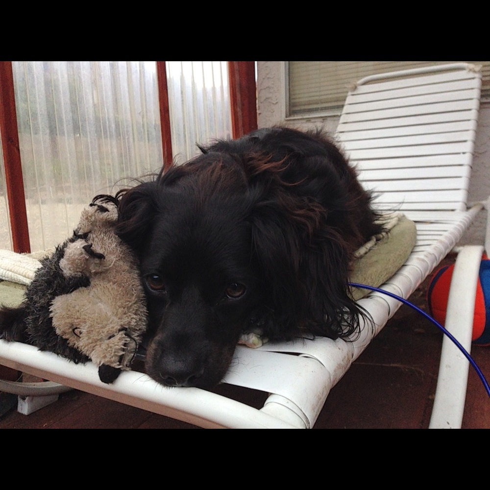 Meet your Posher, Valerie